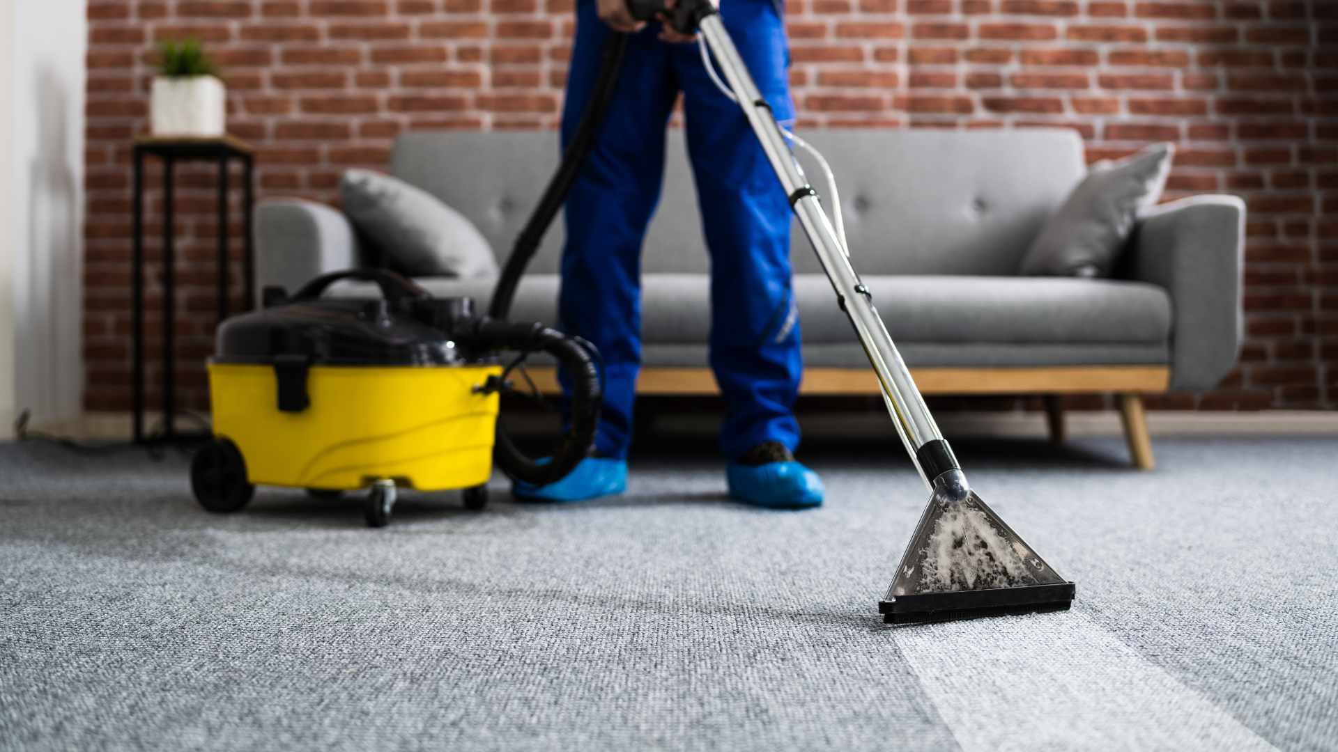 Apex Carpet Cleaning & Restoration