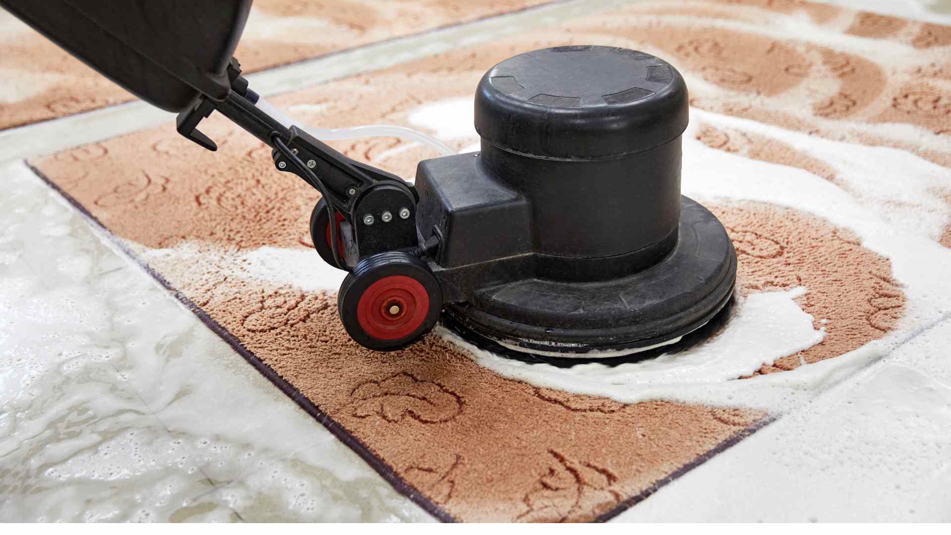 Rug Cleaning